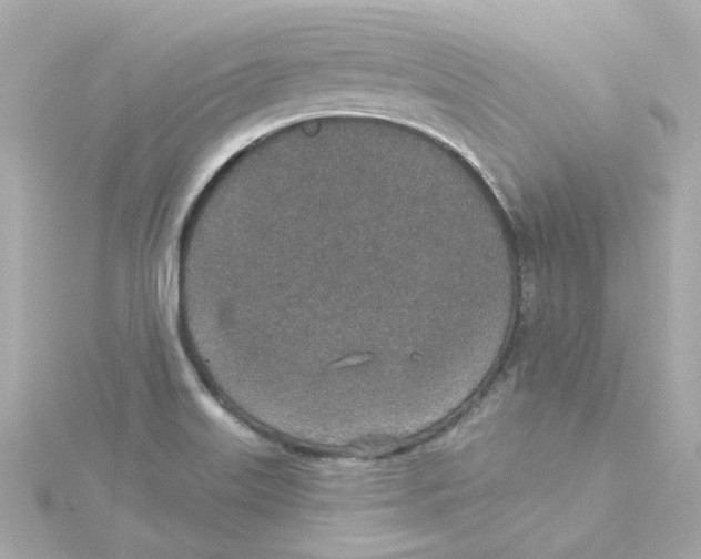 X0000115251515200911271853