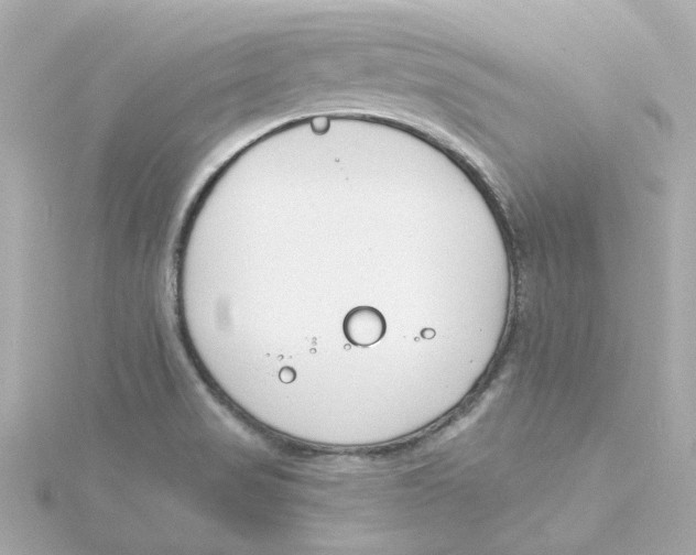 X0000115251517200911271853