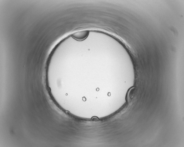 X0000115251518200911271853