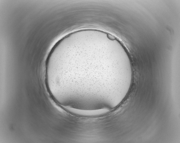 X0000115251519200911271853