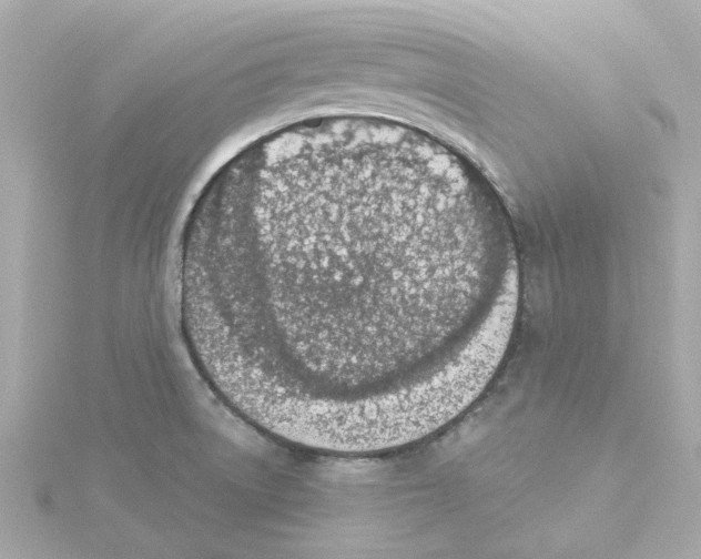 X0000115251522200911271853