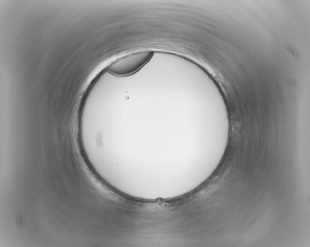 X0000115251523200911271853