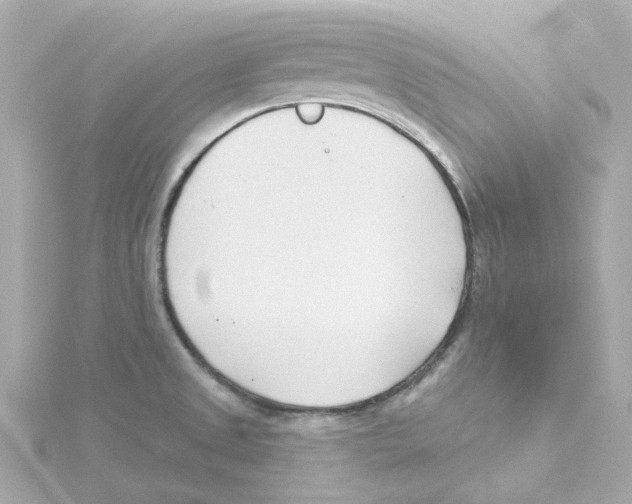 X0000115251525200911271853