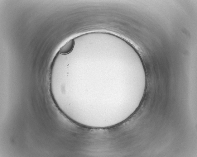 X0000115251526200911271853