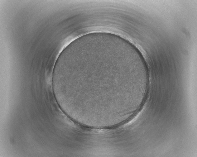 X0000115251529200911271853