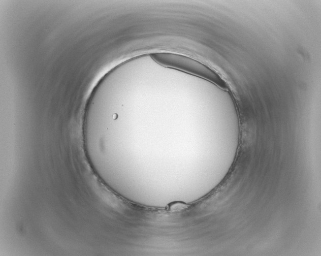 X0000115251530200911271853