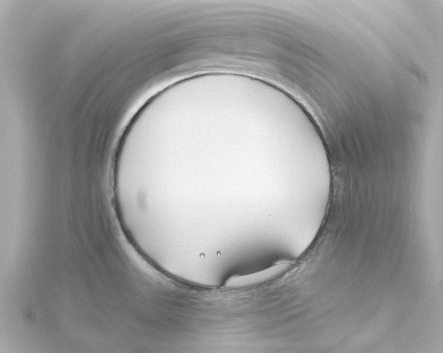 X0000115251531200911271853