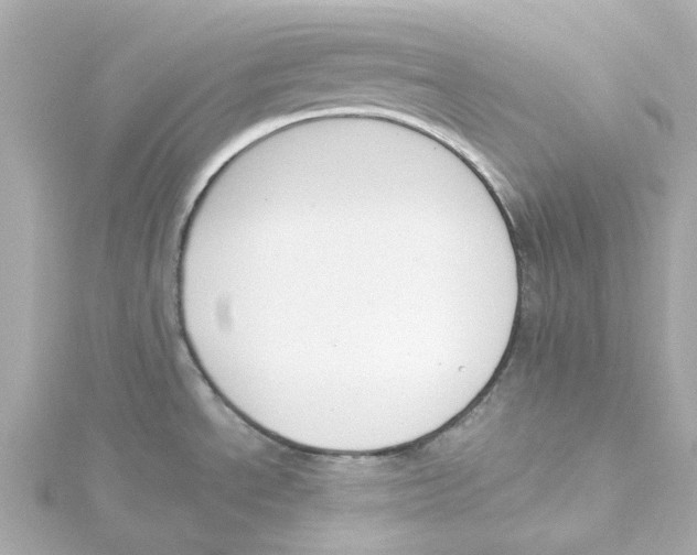 X0000115251534200911271853