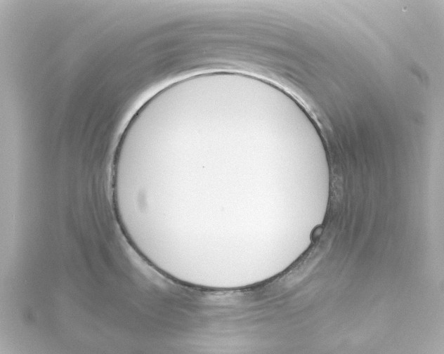 X0000115251535200911271853