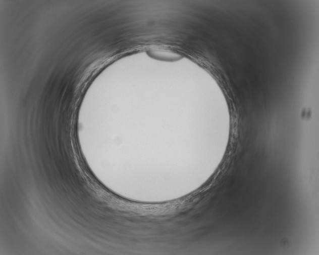 X0000115250001200912111128