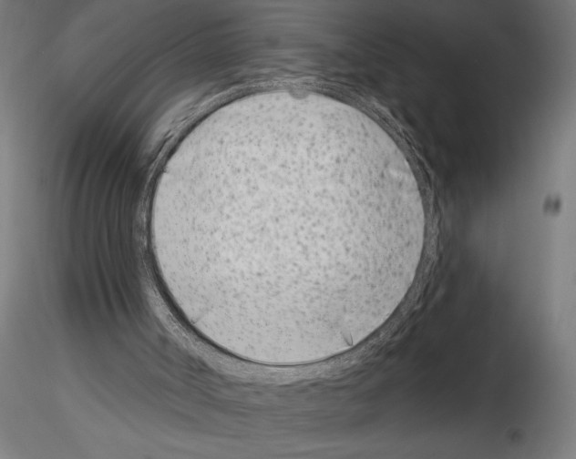 X0000115250002200912111128