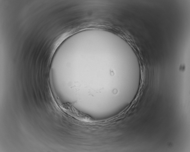 X0000115250003200912111128
