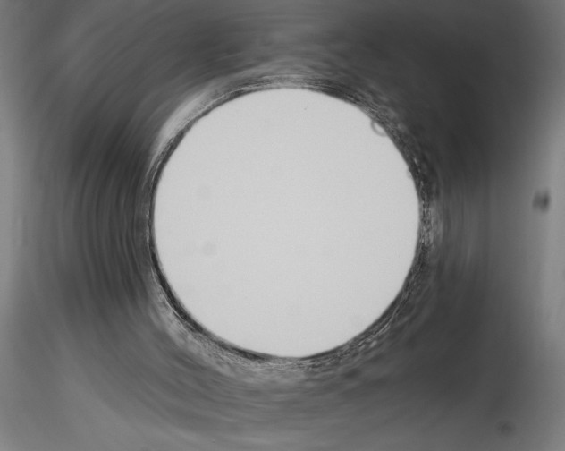 X0000115250004200912111128