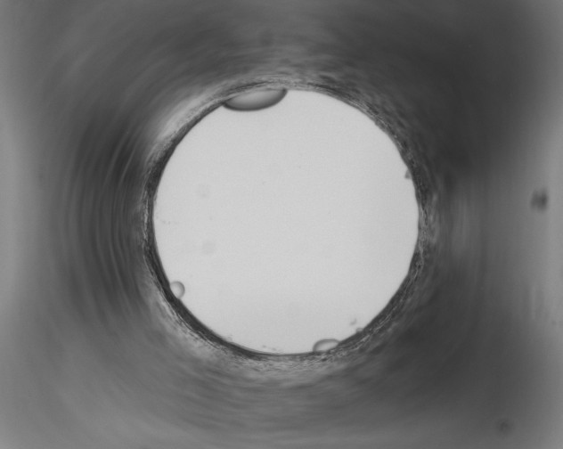 X0000115250005200912111128