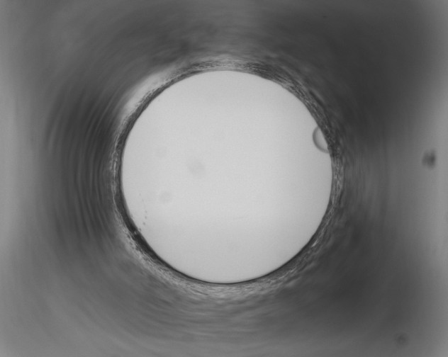 X0000115250006200912111128