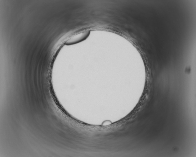 X0000115250007200912111127