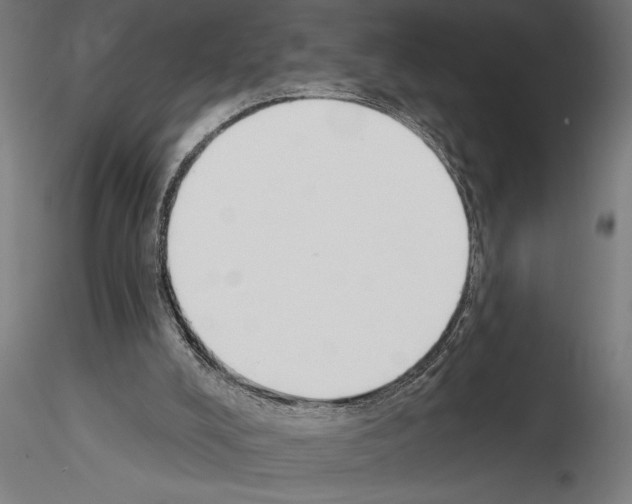 X0000115250008200912111127