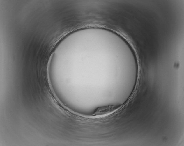 X0000115250009200912111127