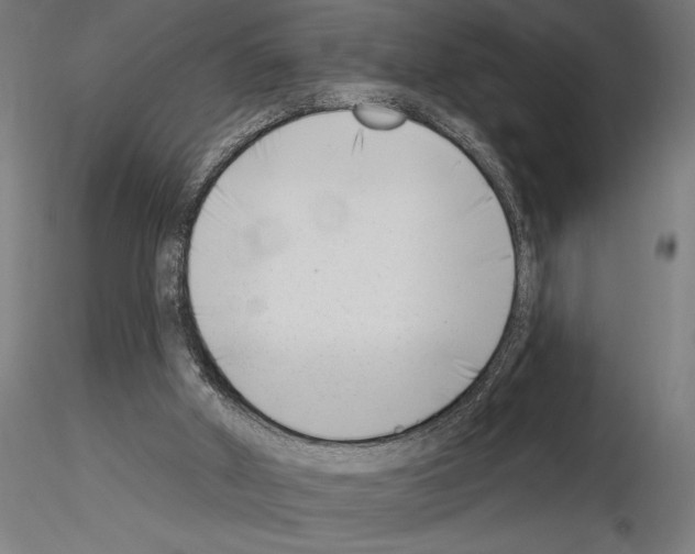 X0000115250010200912111127