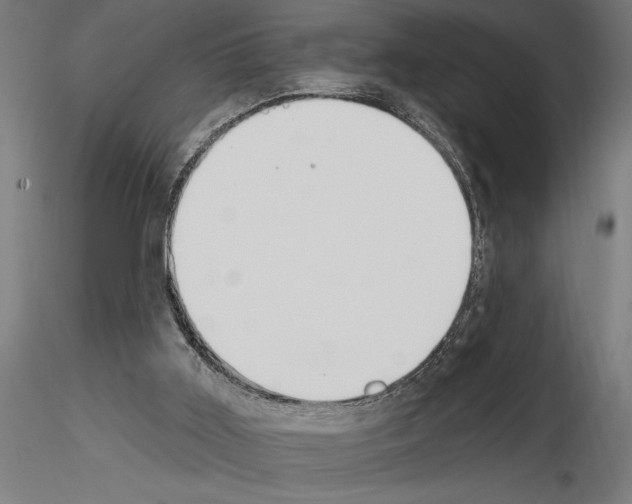 X0000115250011200912111127