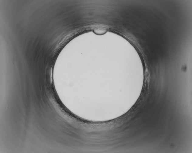 X0000115250013200912111127