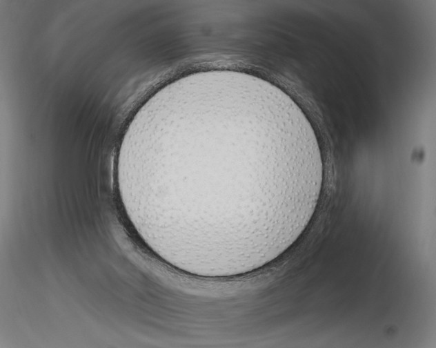 X0000115250014200912111127