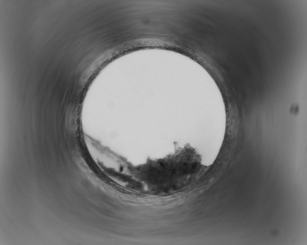 X0000115250015200912111127