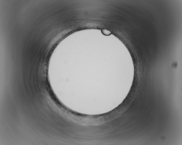 X0000115250016200912111127