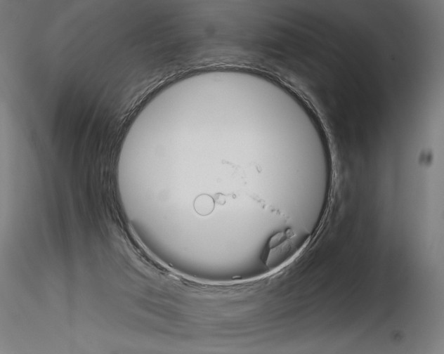 X0000115250017200912111127