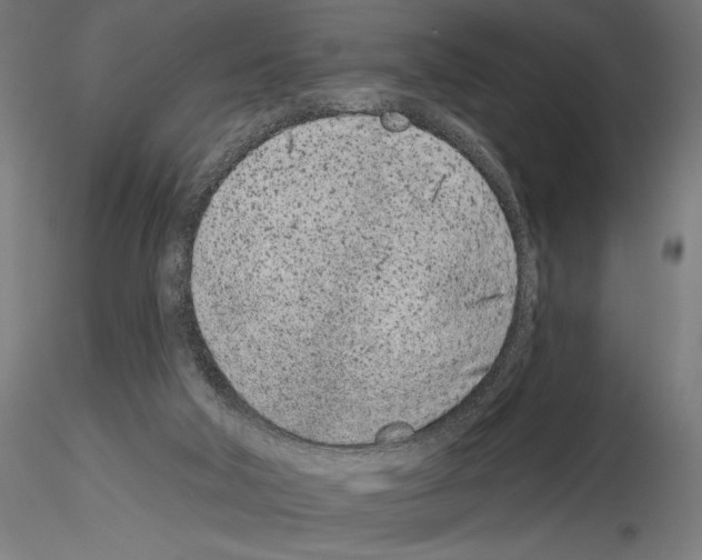 X0000115250018200912111127