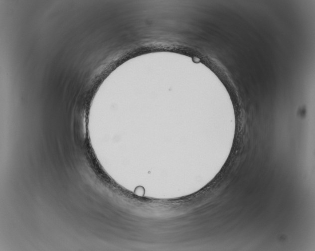 X0000115250020200912111127