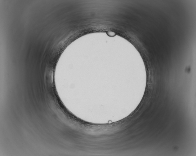 X0000115250021200912111127