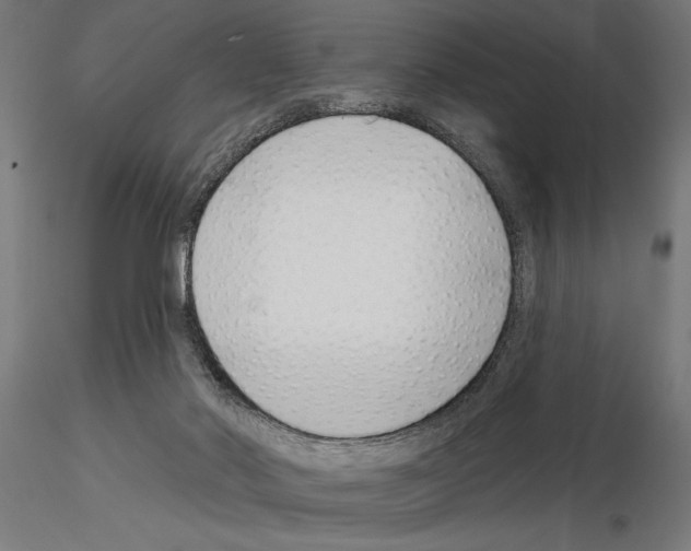 X0000115250022200912111127