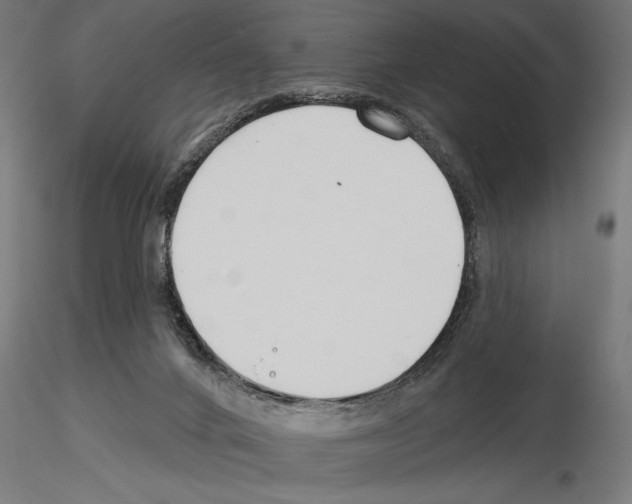X0000115250024200912111127