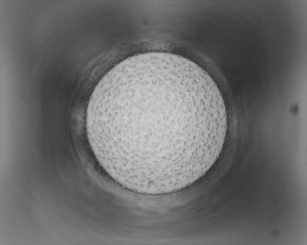 X0000115250026200912111127