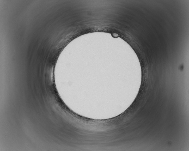 X0000115250028200912111127
