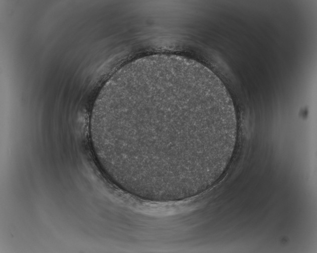 X0000115250029200912111127