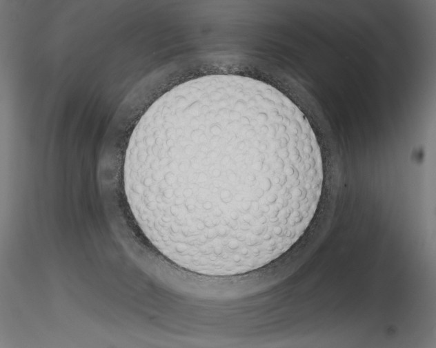 X0000115250030200912111127