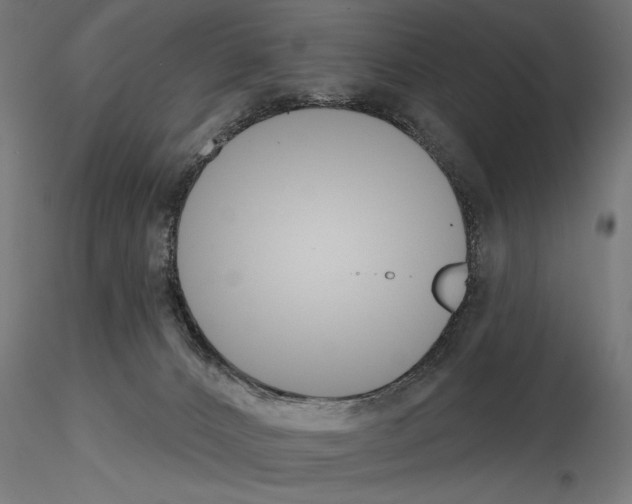 X0000115250032200912111127