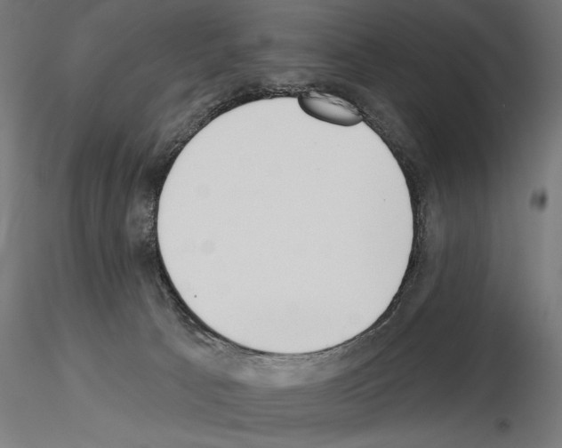 X0000115250033200912111127