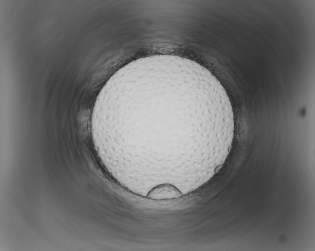 X0000115250034200912111127