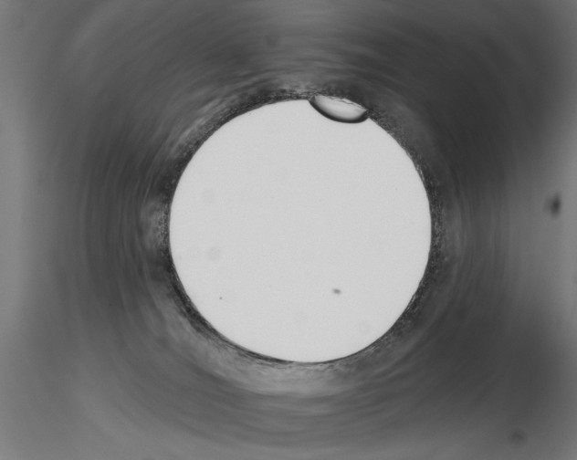 X0000115250036200912111127