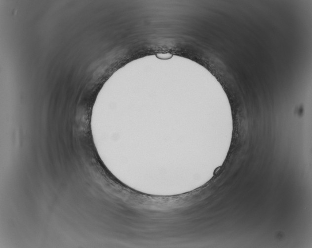 X0000115250037200912111127