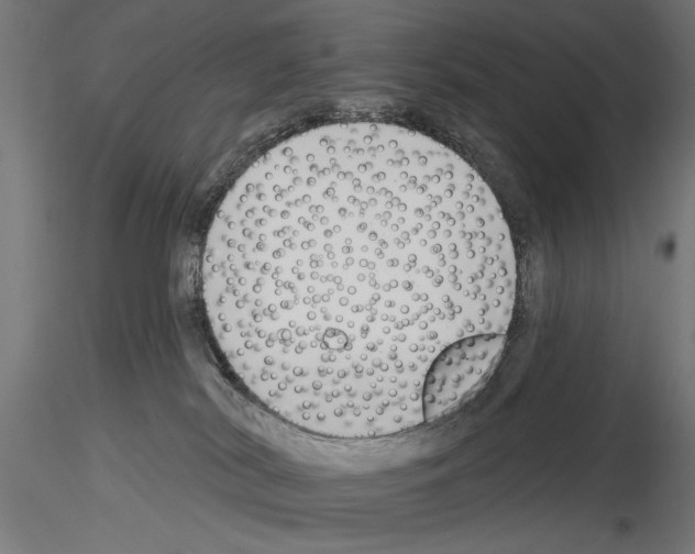 X0000115250038200912111127