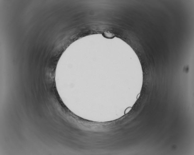 X0000115250040200912111127