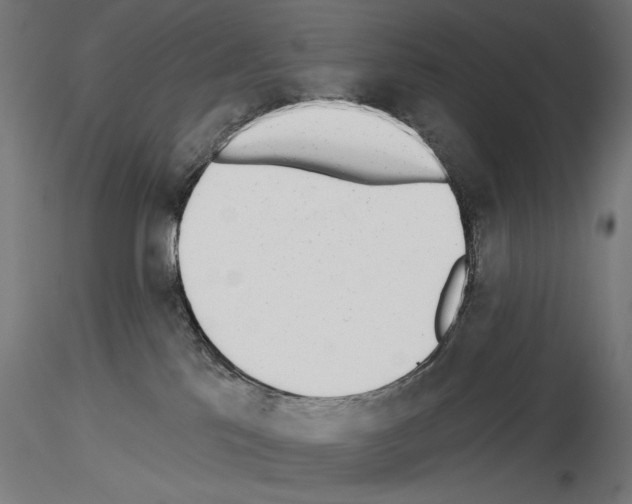 X0000115250041200912111127