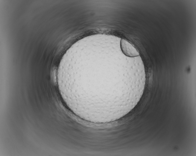 X0000115250042200912111127