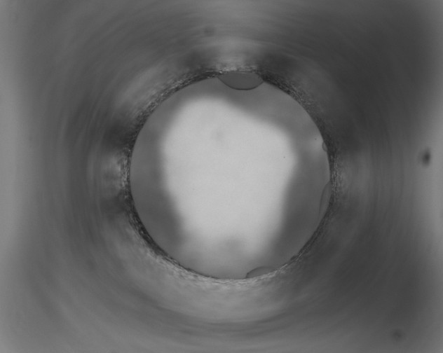 X0000115250043200912111127