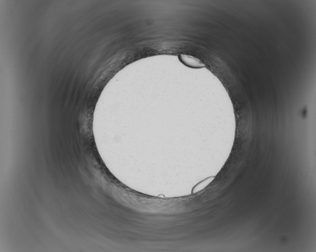 X0000115250044200912111127