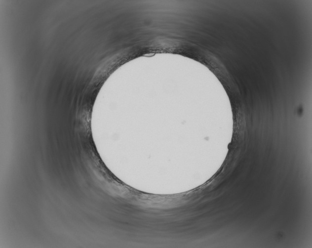 X0000115250045200912111127